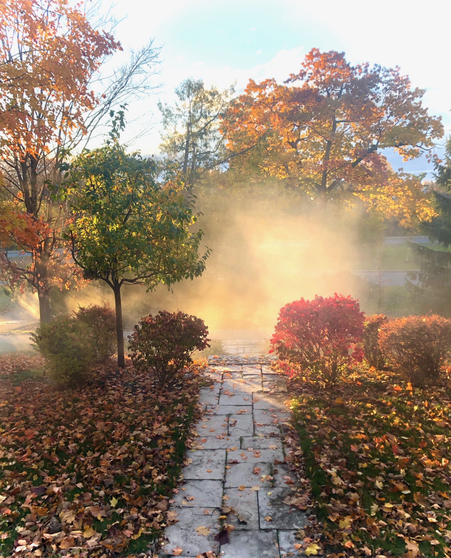 Sprinkler System Ottawa